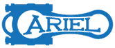 Ariel